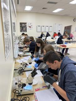 class siting by microscopes