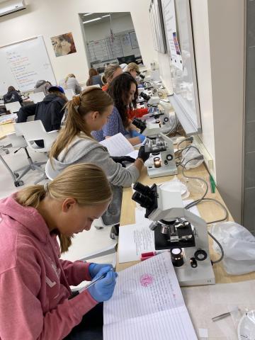 students all lined up at microscopes
