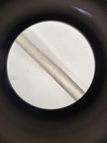 microscopic image of hair