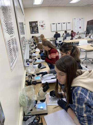 Collecting data from microscopes