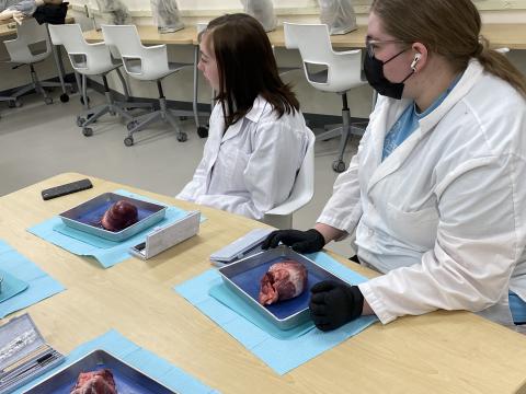 two female students waiting for instructions to dissect