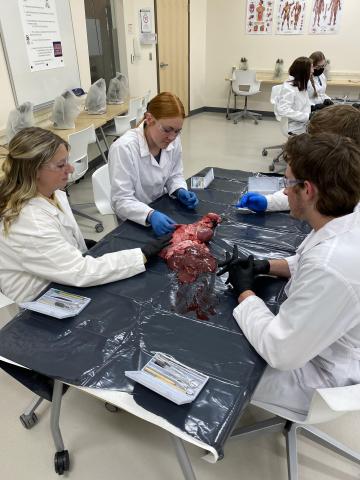 students examine the lung