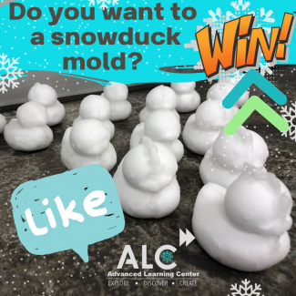 SnowDuck Mold Giveaway