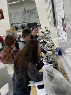 students looking through microscope