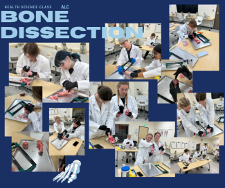 collage of dissections
